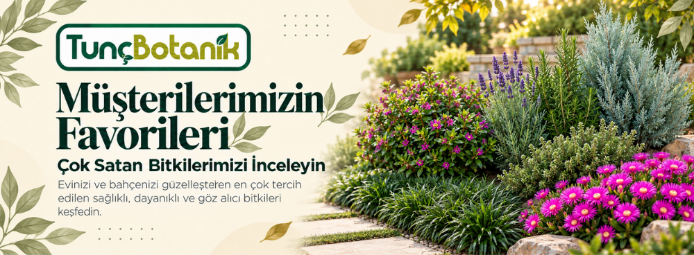 TUNÇ BOTANİK - 4
