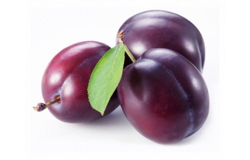 ANJELİKA ERİK FİDANI 3 ADET TÜPLÜ 100-150 cm