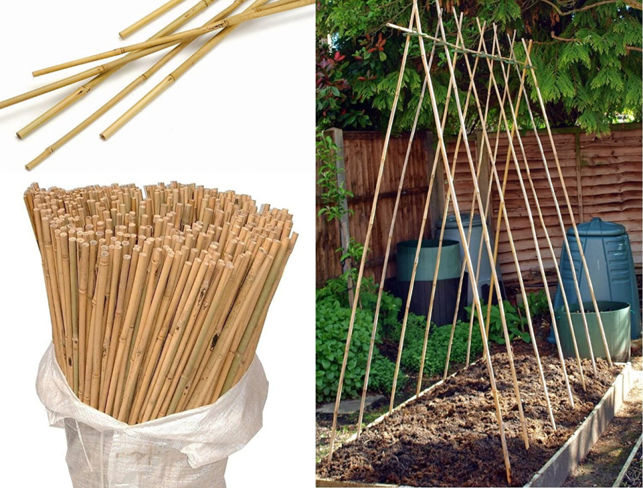 BAMBU BİTKİ DESTEK ÇUBUĞU 120 CM 20 ADET