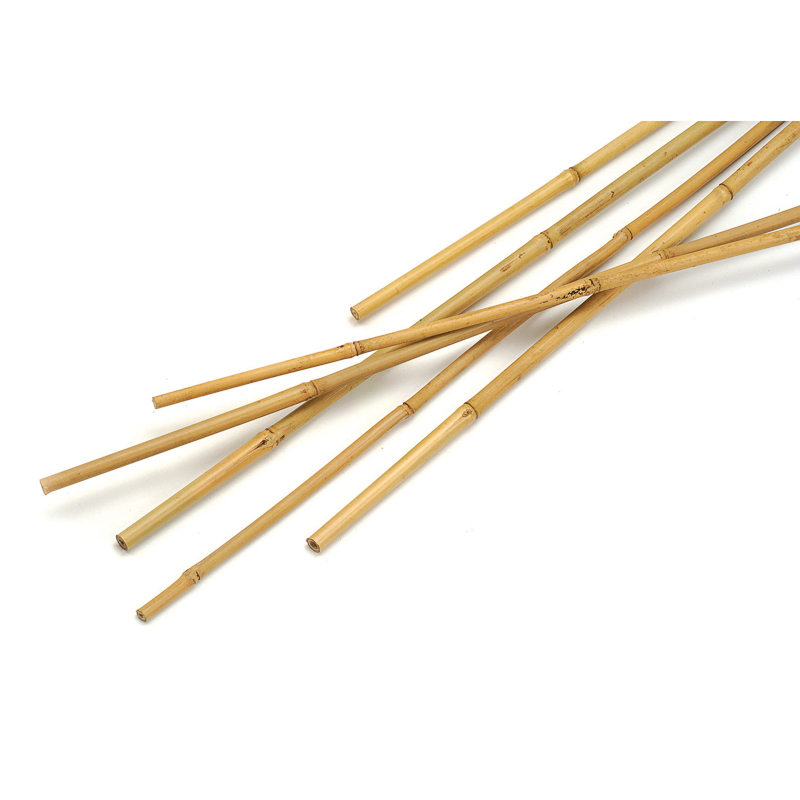 BAMBU BİTKİ DESTEK ÇUBUĞU 120 CM 20 ADET