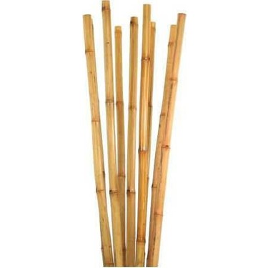 BAMBU BİTKİ DESTEK ÇUBUĞU 120 CM 20 ADET