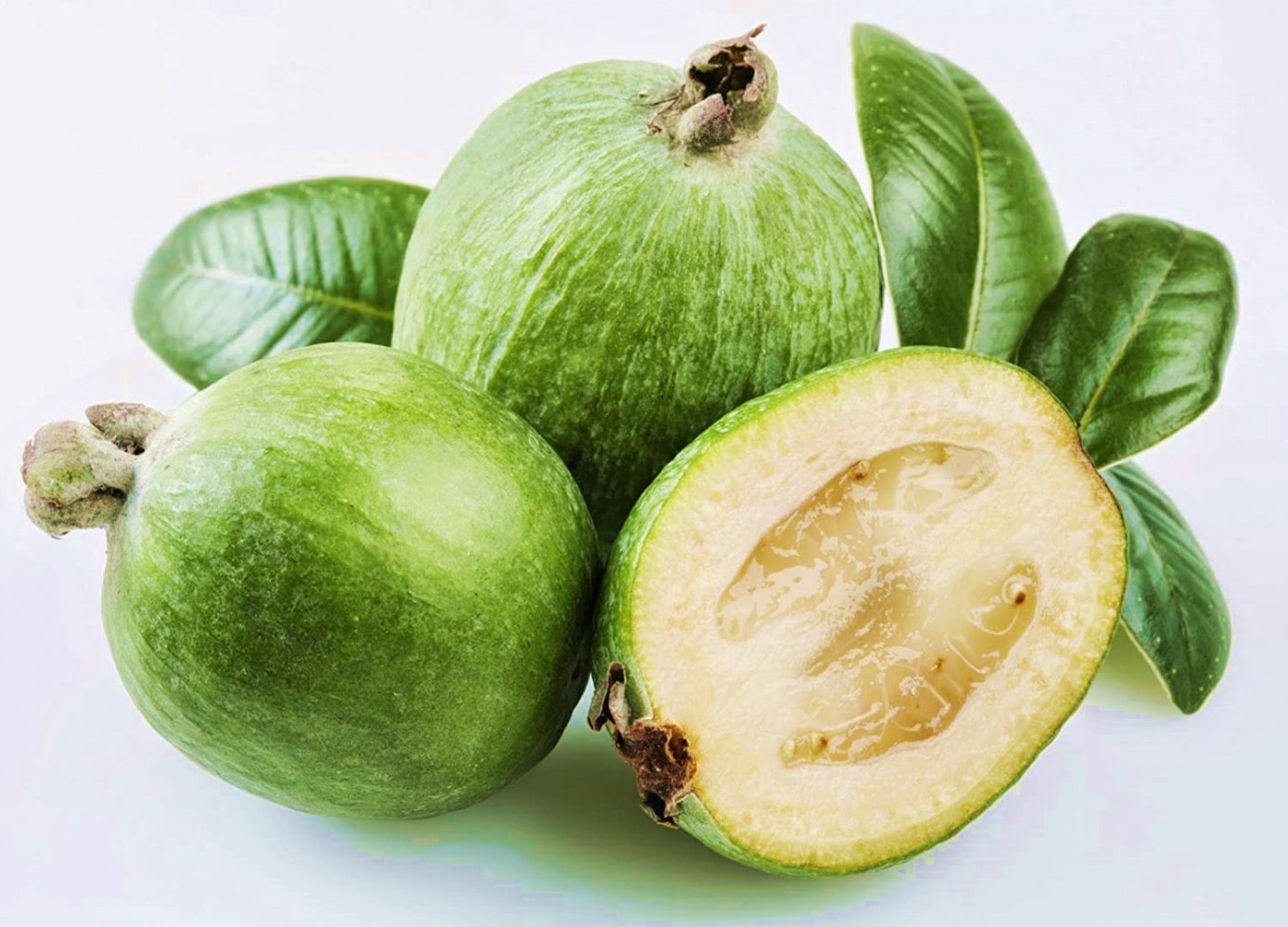 KAYMAK AĞACI FEİJOA FİDANI 10 ADET