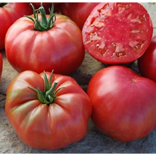 KÖY DOMATESİ EKİM SETİ - TOHUM,TOPRAK,SAKSI,BİTKİ BESİNİ KÖY DOMATESİ EKİM SETİ - TOHUM,TOPRAK,SAKSI,BİTKİ BESİNİ