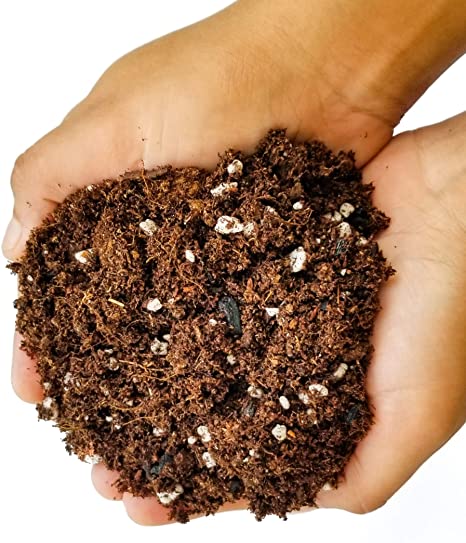 KÖY DOMATESİ EKİM SETİ - TOHUM,TOPRAK,SAKSI,BİTKİ BESİNİ KÖY DOMATESİ EKİM SETİ - TOHUM,TOPRAK,SAKSI,BİTKİ BESİNİ