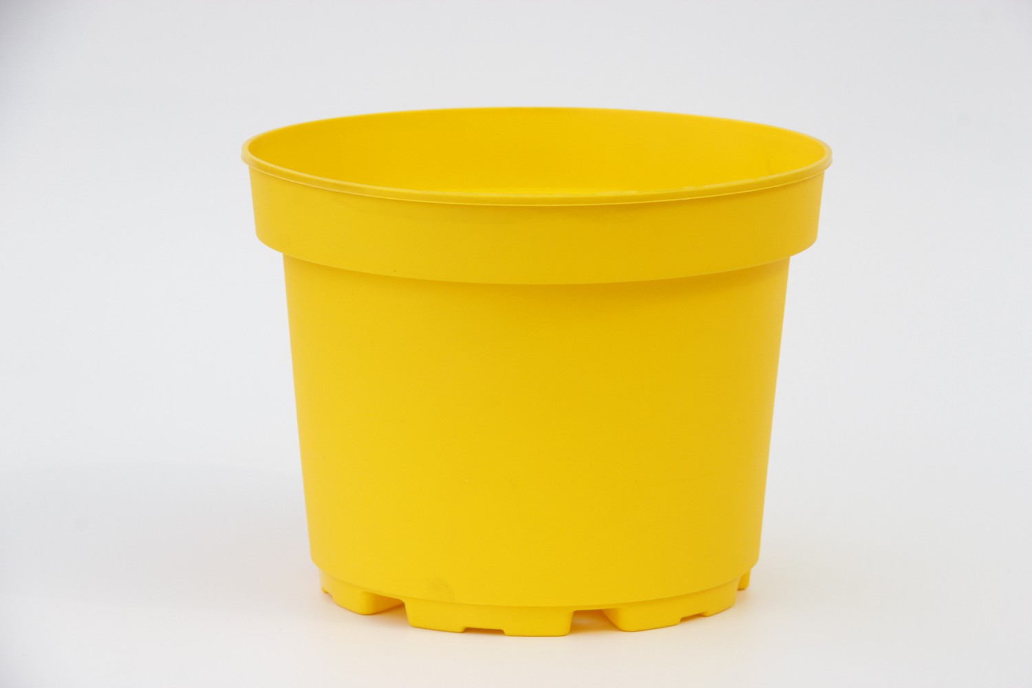 RENGARENK SAKSI SETİ - 5 RENK 10 SAKSI