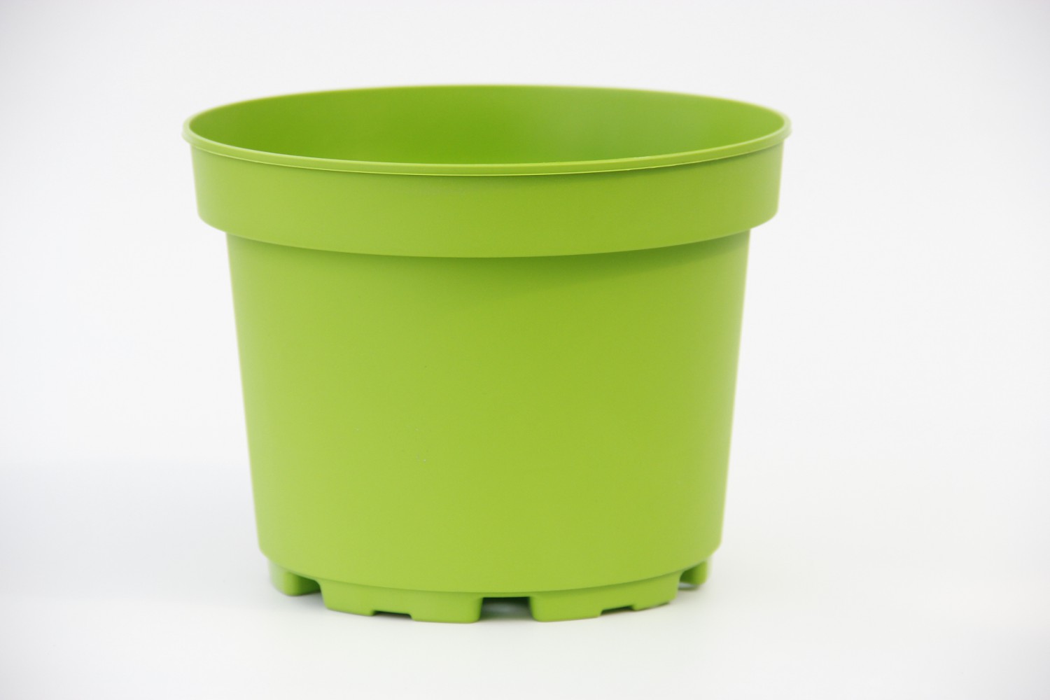 RENGARENK SAKSI SETİ - 5 RENK 10 SAKSI