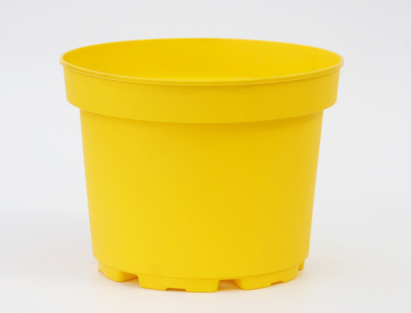 SARI LİMON SAKSISI ( 1.5 Litre )