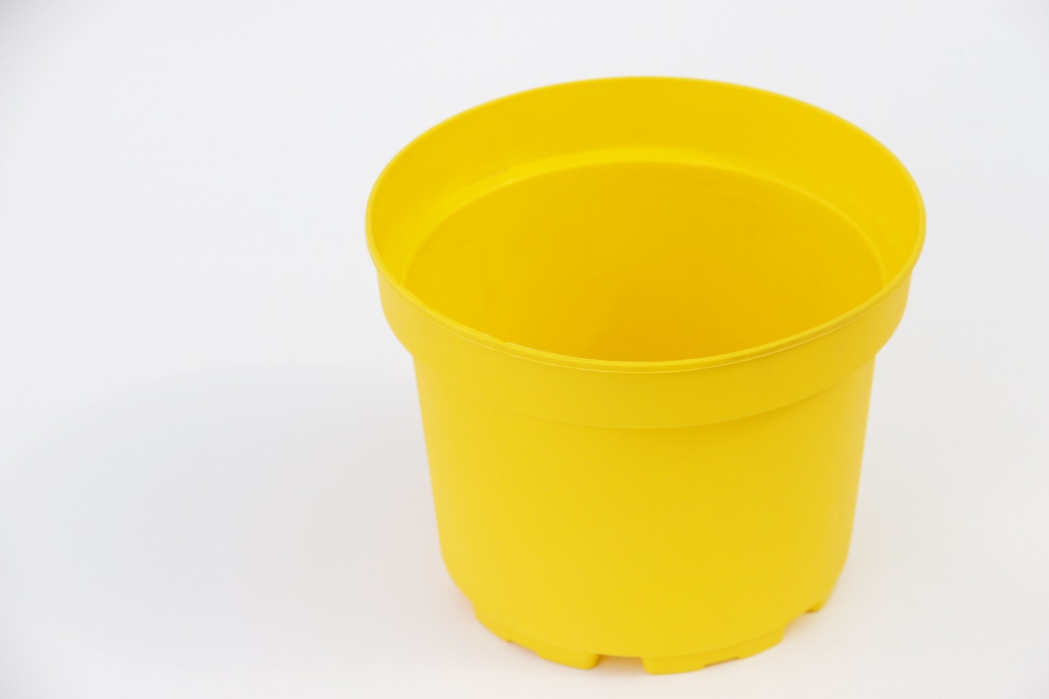 SARI LİMON SAKSISI 3 ADET ( 3 Litre )