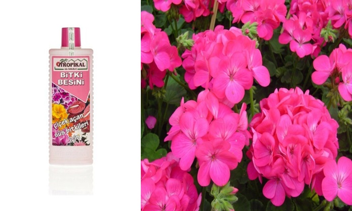 TROPİKAL BİTKİ BESİNİ 3 ADET - ÇİÇEK AÇTIRAN 1000 ML