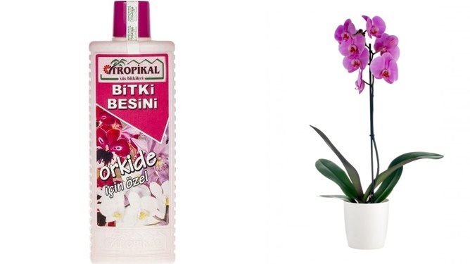 TROPİKAL ORKİDE BİTKİ BESİNİ 3 ADET - 1000 ML
