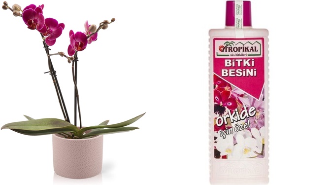 TROPİKAL ORKİDE BİTKİ BESİNİ 3 ADET - 1000 ML