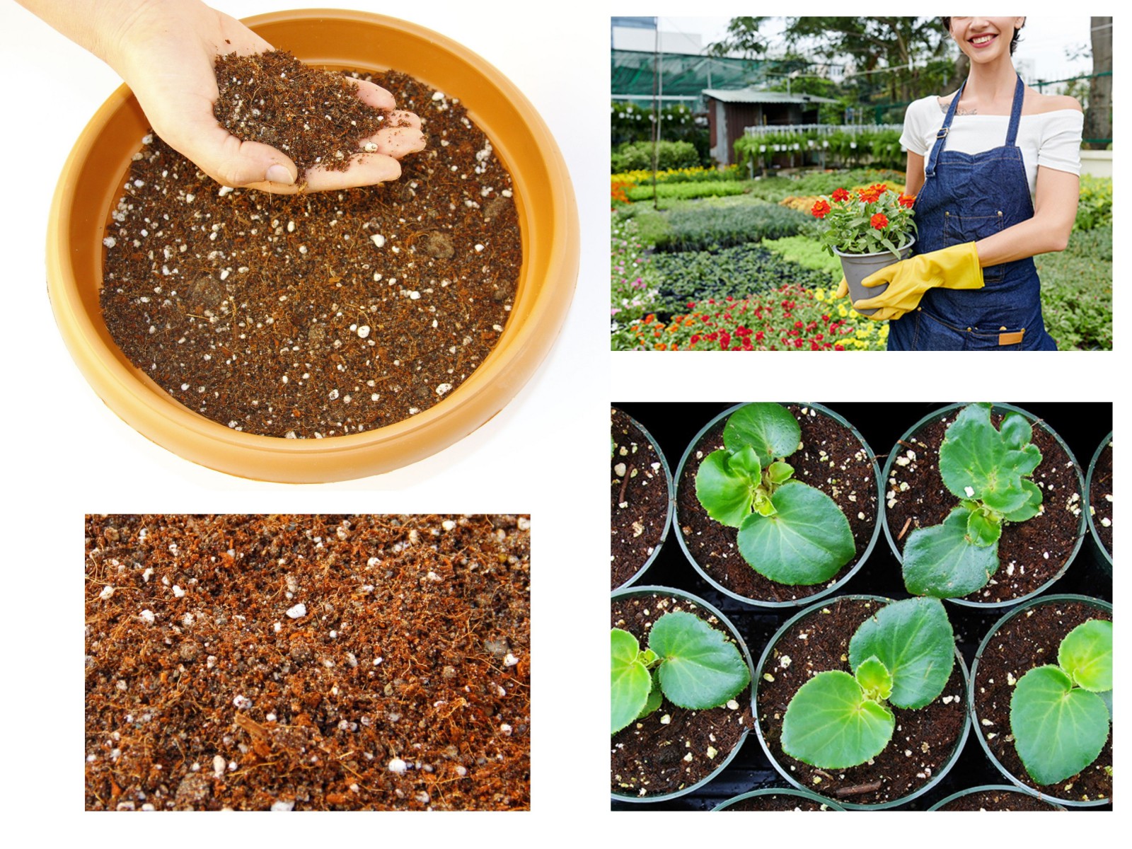 BİTKİ TOPRAĞI 20 LT - 5'Lİ KARIŞIM(TORF,PERLİT,KOMPOST,KUM,ORMAN TOPRAĞI) BİTKİ TOPRAĞI 20 LT - 5'Lİ KARIŞIM(TORF,PERLİT,KOMPOST,KUM,ORMAN TOPRAĞI)