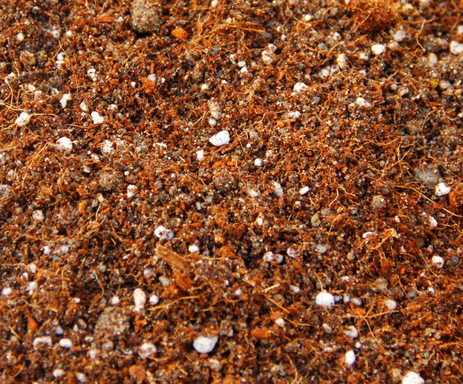 BİTKİ TOPRAĞI 5 LT - 5'Lİ KARIŞIM(TORF,PERLİT,KOMPOST,KUM,ORMAN TOPRAĞI) BİTKİ TOPRAĞI 5 LT - 5'Lİ KARIŞIM(TORF,PERLİT,KOMPOST,KUM,ORMAN TOPRAĞI)