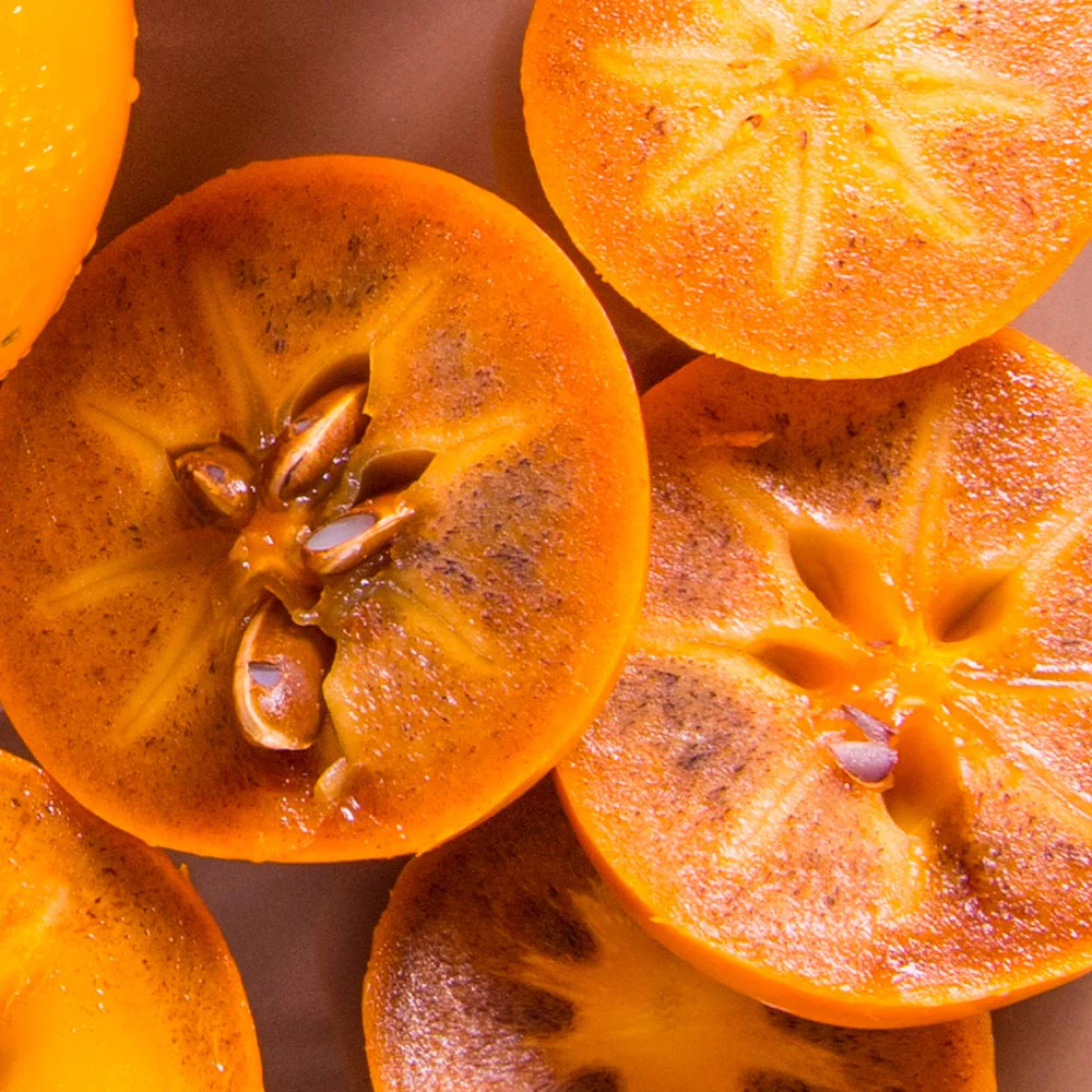 ÇİKOLATALI HARBİYE HURMA FİDANI 5 ADET (KAKAOLU) ÇİKOLATALI HARBİYE HURMA FİDANI 5 ADET (KAKAOLU)