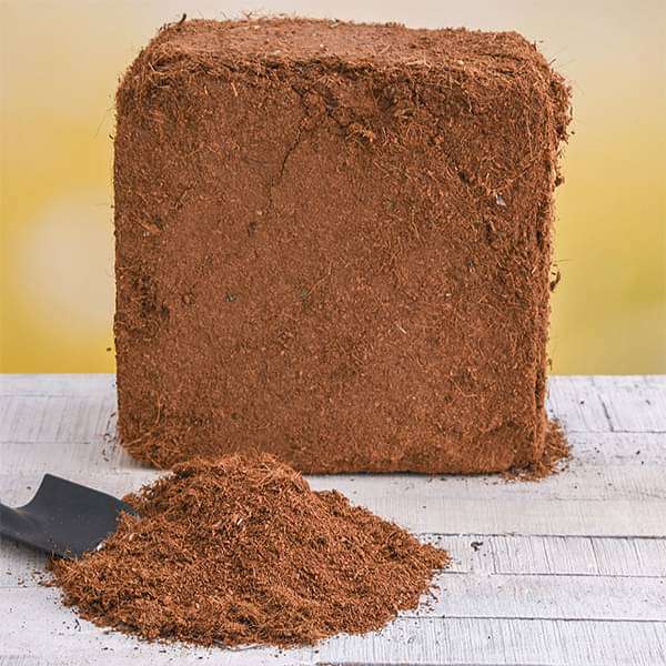 COCOPEAT 2 ADET 130 LT SIKIŞTIRILMIŞ TORF (KOKOPEAT)