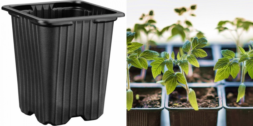 FİDE ÜRETİM SAKSISI 200 ADET - KARE 8X8 CM VAKUM SAKSI FİDE ÜRETİM SAKSISI 200 ADET - KARE 8X8 CM VAKUM SAKSI