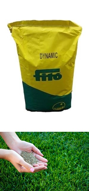 Fito Dynamic Çim Tohumu 100 GR Fito Dynamic Çim Tohumu 100 GR
