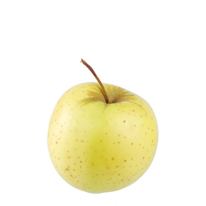 Golden Delicious Elma Fidanı 3 Yaş Tüplü ve Aşılı