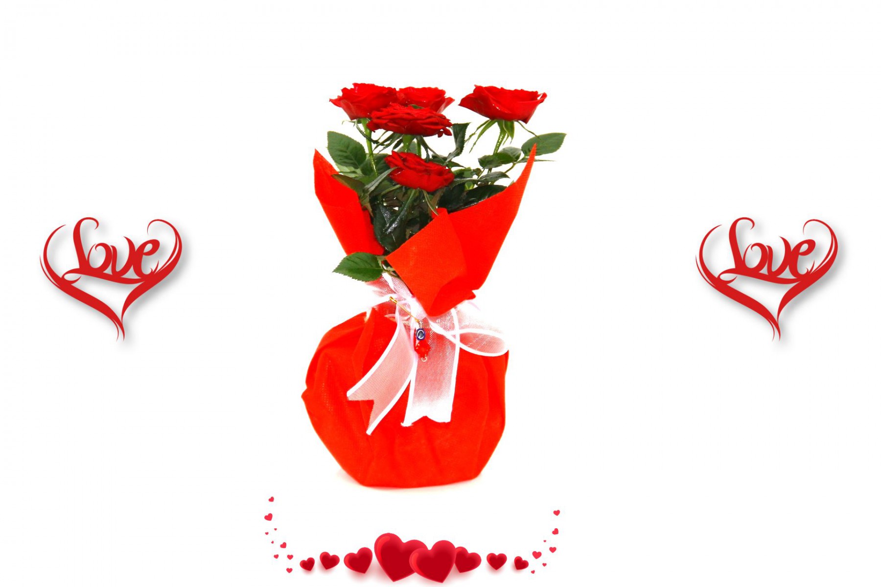 KIRMIZI MİNİ GÜL - Sevgililer Günü ve Özel Gün Hediyesi KIRMIZI MİNİ GÜL - Sevgililer Günü ve Özel Gün Hediyesi