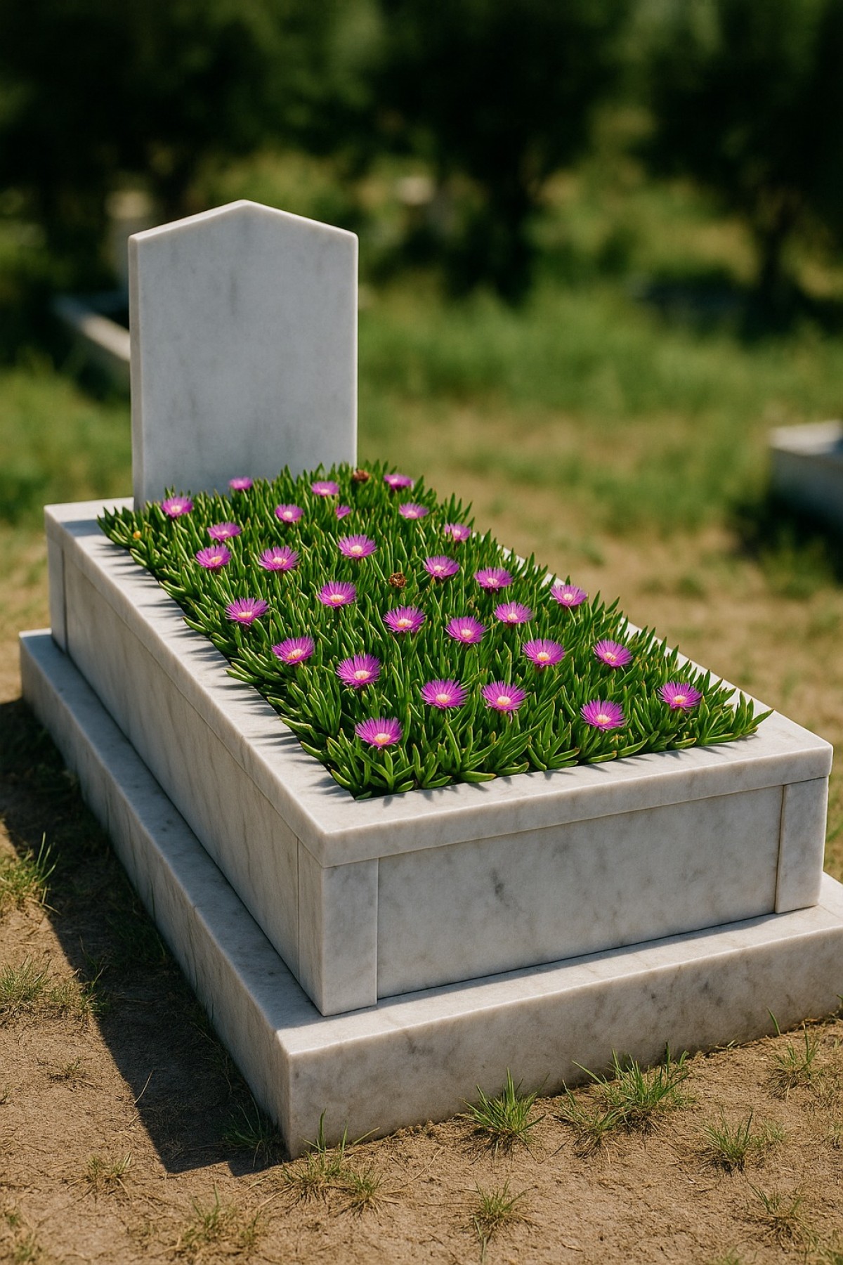 MEZAR - KABİR ÇİÇEKLİ BİTKİ SETİ - 45 ADET KAZ AYAĞI - KALICI YER ÖRTÜCÜ BİTKİ