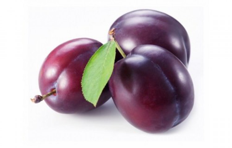 ANJELİKA ERİK FİDANI TÜPLÜ 100-150 cm