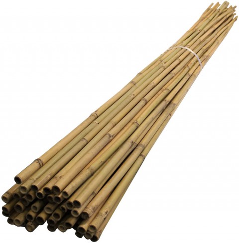 BAMBU BİTKİ DESTEK ÇUBUĞU 120 CM 20 ADET