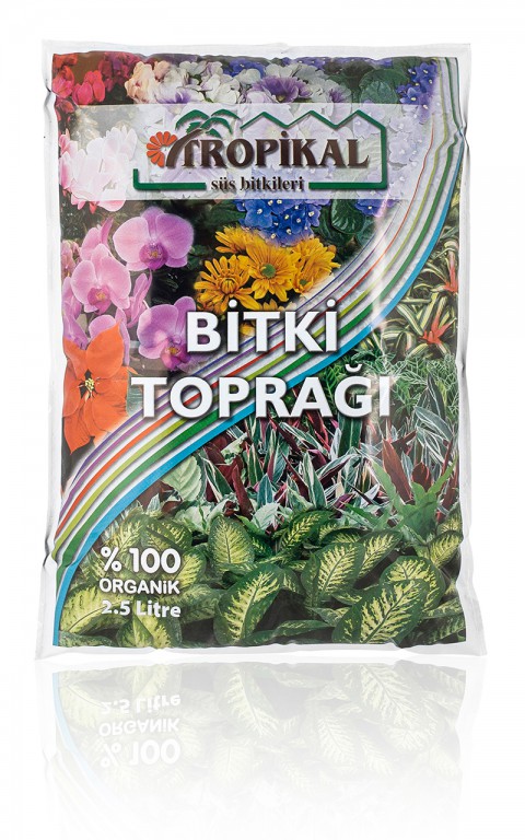 BONSAİ PUNİCA SÜS NARI SETİ (FİDAN+BONSAİ SAKSI+TOPRAK +BİTKİ BESİNİ)