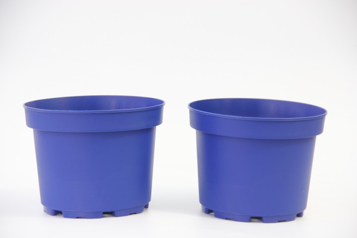 DEKORATİF SAKSI - MAVİ RENKLİ 10 ADET