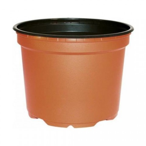 KÖY DOMATESİ EKİM SETİ - TOHUM,TOPRAK,SAKSI,BİTKİ BESİNİ