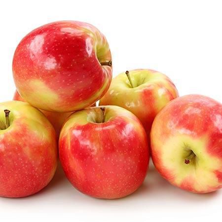 PİNK LADY ELMA FİDANI - 1 Adet Aşılı ve Tüplü