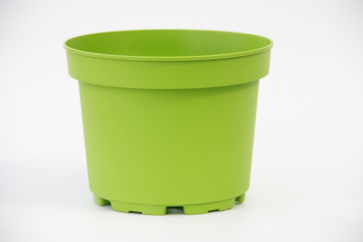 RENGARENK SAKSI SETİ - 5 RENK 10 SAKSI