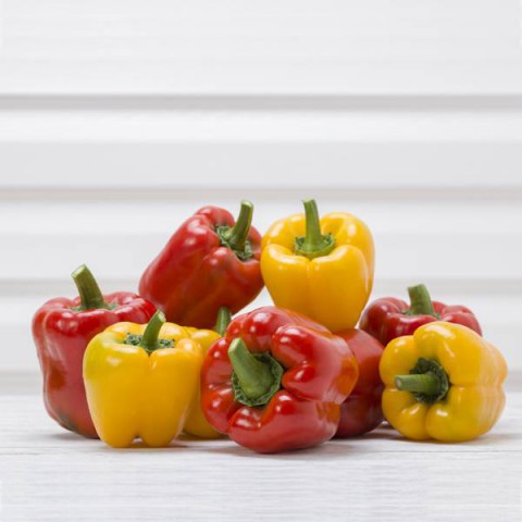 RENKLİ DOLMA BİBER EKİM SETİ -TOHUM,TOPRAK,SAKSI,BİTKİ BESİNİ