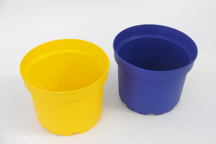 SARI LACİVERT SAKSI SETİ - 2 RENK 6 SAKSI