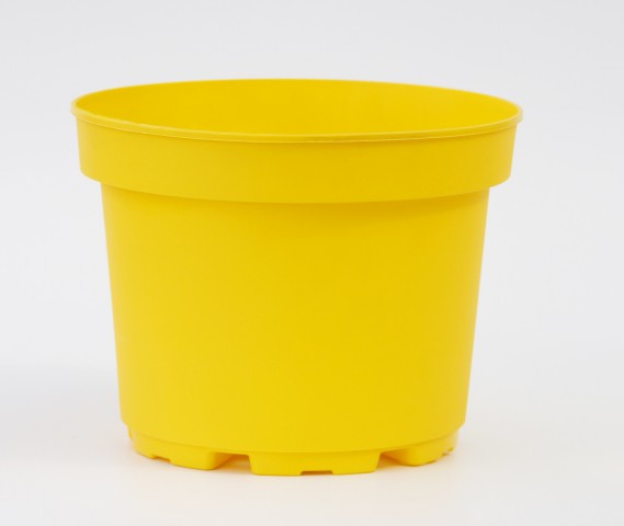 SARI LİMON SAKSISI 10 ADET ( 1.5 Litre )