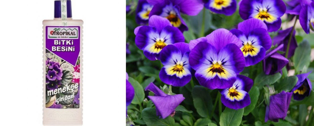 TROPİKAL BİTKİ BESİNİ 3 ADET - MENEKŞE İÇİN ÖZEL 1000 ML