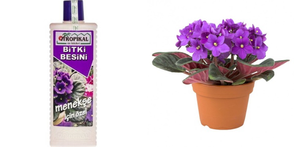 TROPİKAL BİTKİ BESİNİ 3 ADET - MENEKŞE İÇİN ÖZEL 1000 ML