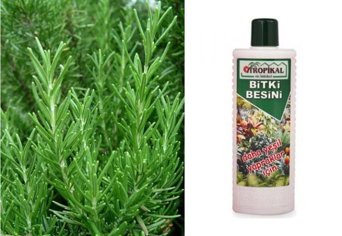 TROPİKAL BİTKİ BESİNİ 3 ADET - YEŞİL YAPRAKLAR İÇİN 1000 ML