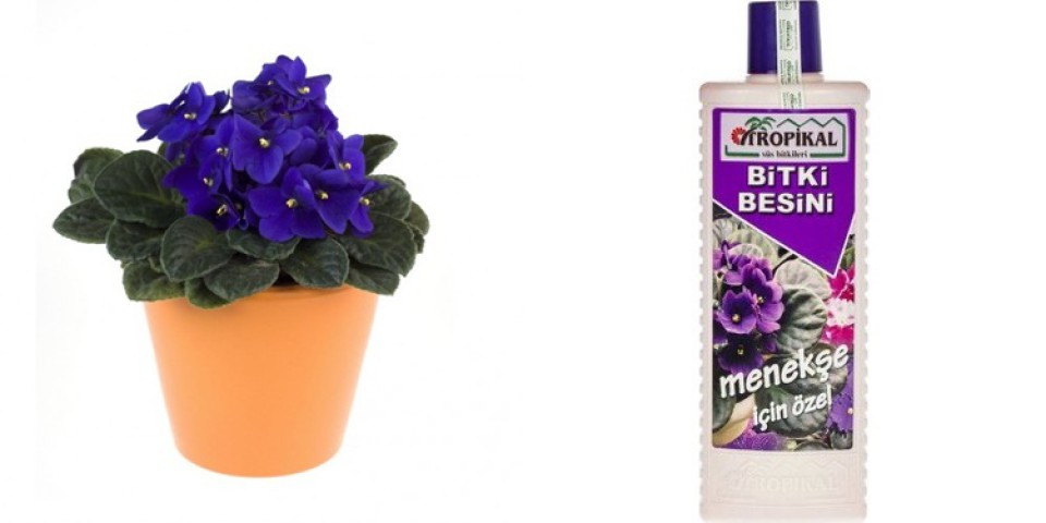 TROPİKAL BİTKİ BESİNİ - MENEKŞE İÇİN ÖZEL 1000 ML