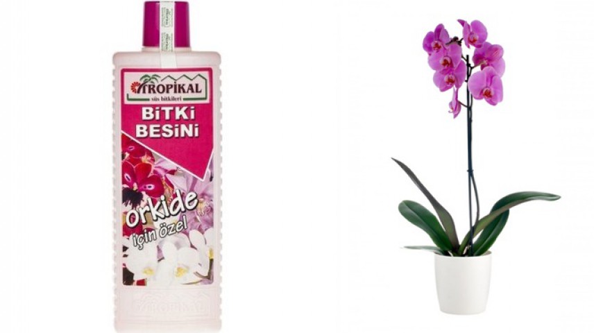 TROPİKAL ORKİDE BİTKİ BESİNİ 3 ADET - 1000 ML