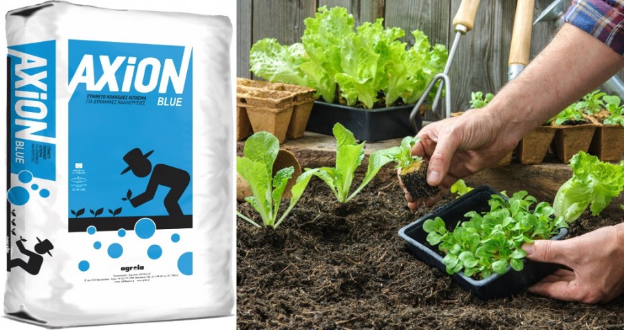 AXION BLUE 500 GR YAVAŞ SALINIMLI AKILLI GÜBRE