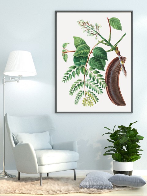 Ceratonia Leaf Çerçevesiz Poster "Botanica Serisi"