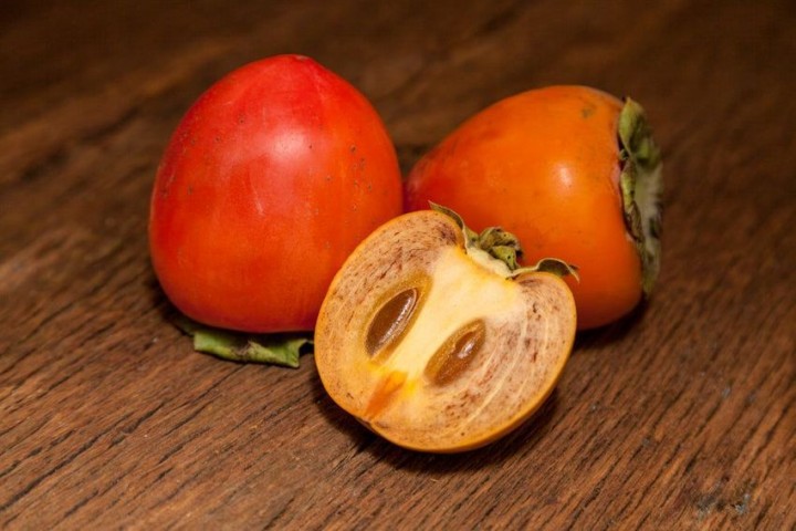 ÇİKOLATALI HARBİYE HURMA FİDANI 3 ADET (KAKAOLU)