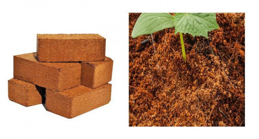 COCOPEAT 65 LT SIKIŞTIRILMIŞ TORF (KOKOPEAT)