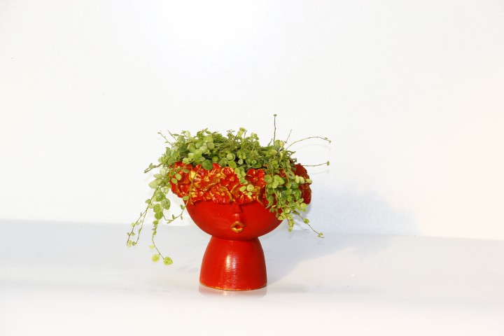 DOSTLUK ÇİÇEĞİ - HEDİYELİK KIRMIZI SAKSIDA PİLEA GLAUCA