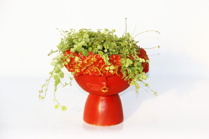 DOSTLUK ÇİÇEĞİ - HEDİYELİK KIRMIZI SAKSIDA PİLEA GLAUCA