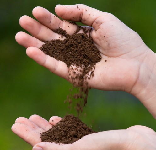 ELENMİŞ DOĞAL BAHÇE TOPRAĞI (GÜBRELİ 5 LİTRE)