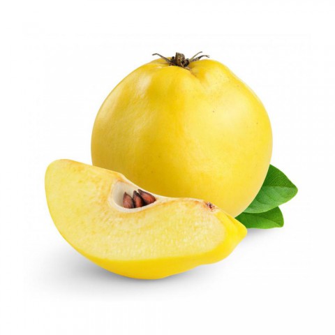 Eşme Ayva Fidanı 3 Yaş Tüplü ve Aşılı 5 Adet