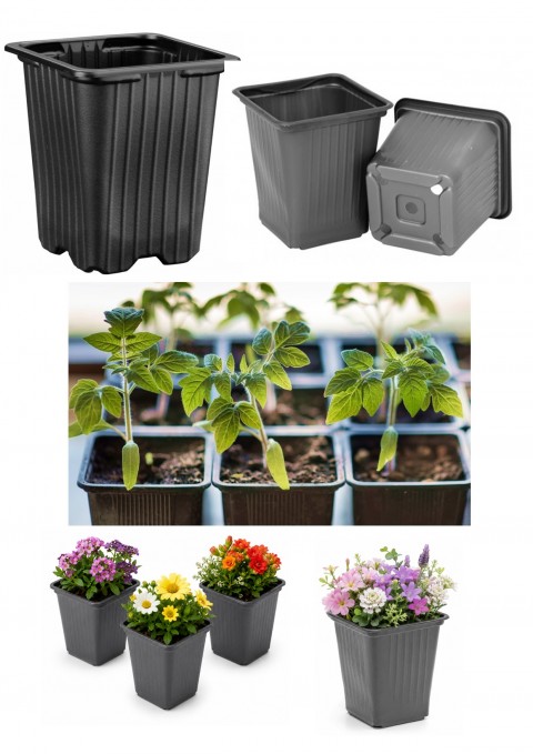 FİDE SAKSISI 100 ADET -  KARE 9X9 CM THERMOFORM SAKSI