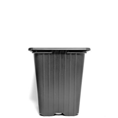 FİDE SAKSISI 50 ADET -  KARE 9X9 CM THERMOFORM SAKSI