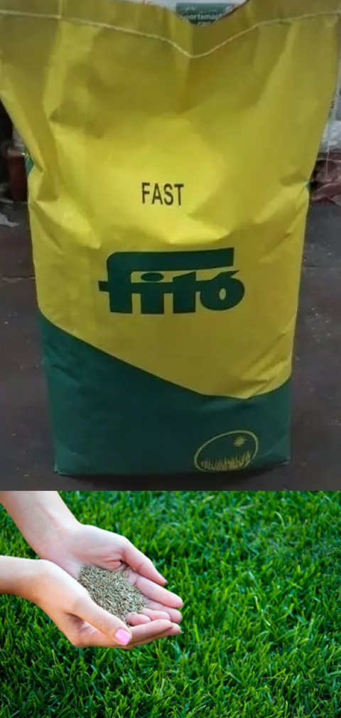 Fito Fast Çim Tohumu 500 GR ( Hızlı ve Kolay Çimlenme )